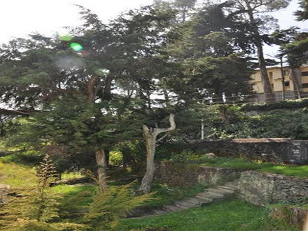 Hill Heaven Home Stay Кодайканал Экстерьер фото